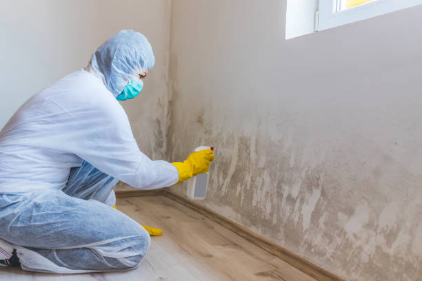 Licensed Crawl Space Mold Removal service in Morris Plains, NJ - WQB Mold Removal