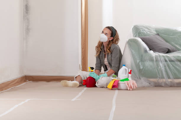 Reliable Crawl Space Mold Removal contractor in Morris Plains, NJ by WQB Mold Removal