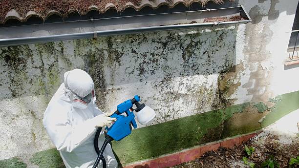 Top rated local Crawl Space Mold Removal specialists in Morris Plains, NJ